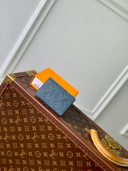 Louis Vuitton Pocket Organizer