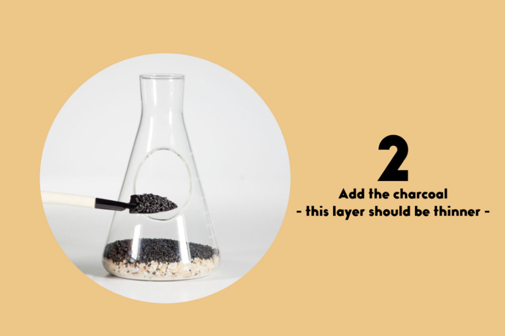 Террариум chemistry