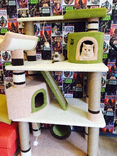 Комплекс для кошек ДВ-2