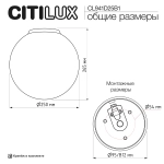 Потолочный светильник Citilux Ron CL941D25B1