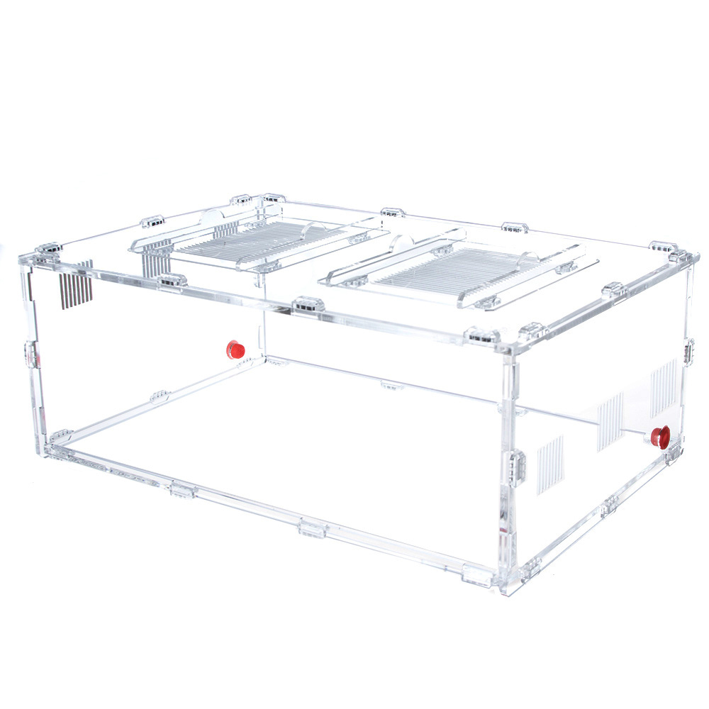 Большая арена для муравьев