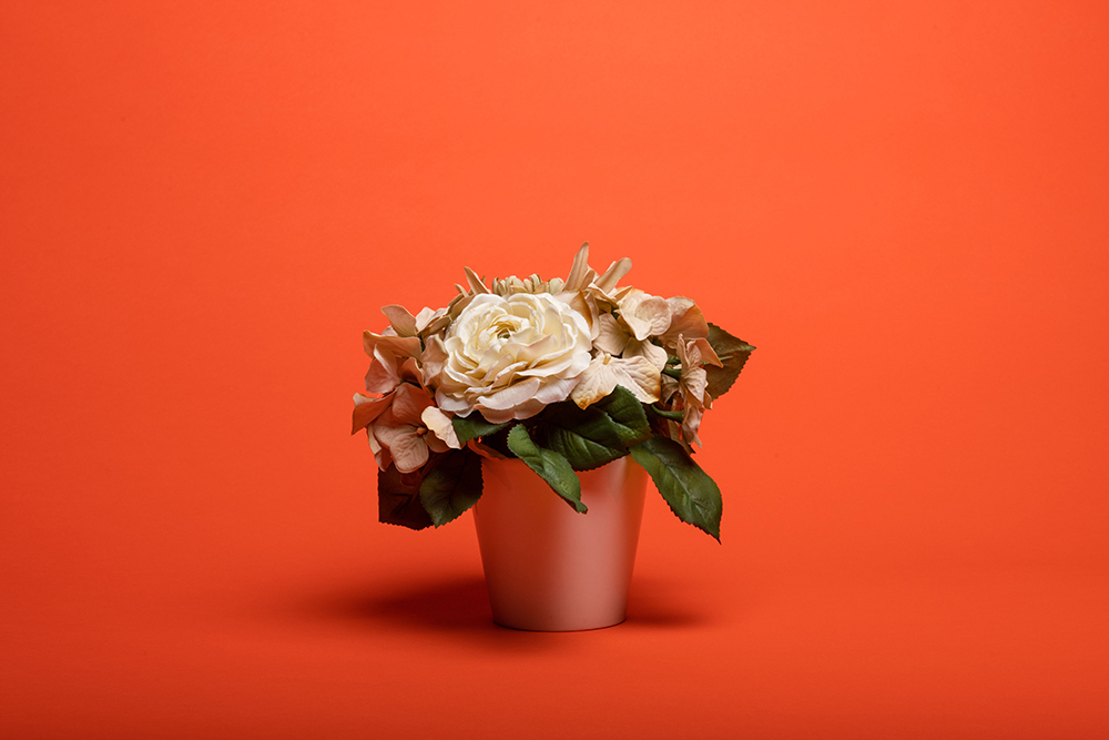 E-IMAGE SBP10 Background paper (2.72*10M) 39 Bright orange Фон бумажный, ярко-оранжевый