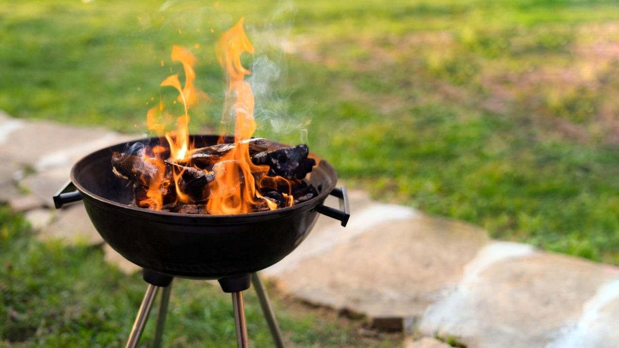 Преимущества использования древесного угля для мангала