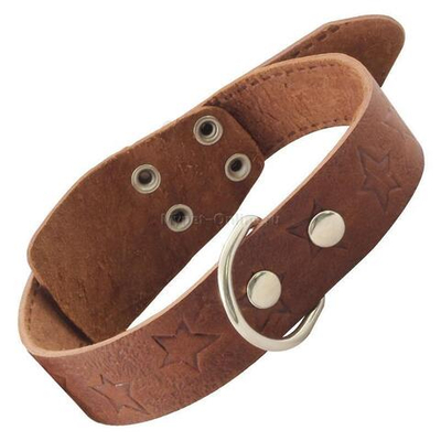 Ошейник c кольцом кожаный, 36*720мм, Gamma