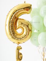 Воздушные шары на 1 сентября «Я иду в 6 класс» №1/53