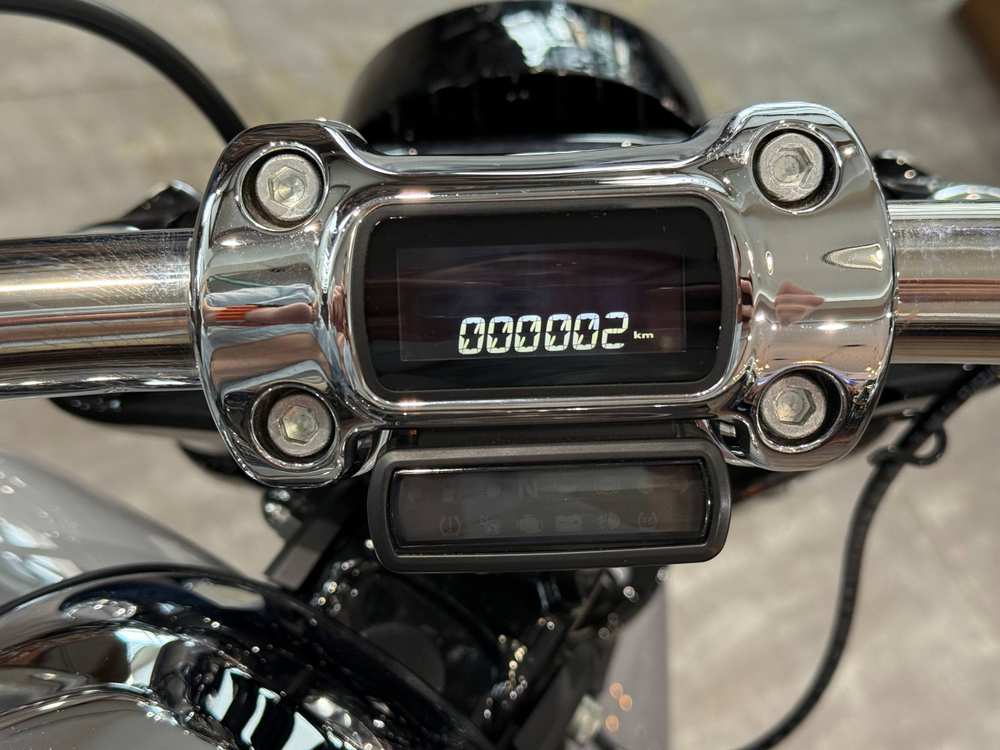 Harley-Davidson BREAKOUT 117 (Billiard Gray ) 2024