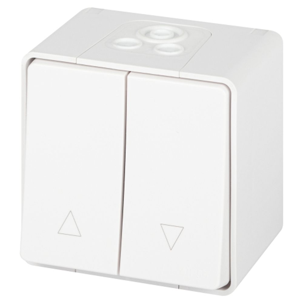 Переключатель ЭРА Эксперт 11-1508-01 для жалюзи кнопочный IP55 10АХ-250В ОУ белый