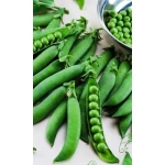 Семена Горох Воронежский Зеленый (Марс) 8гр Б/П