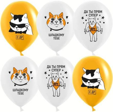 Котики Собачки