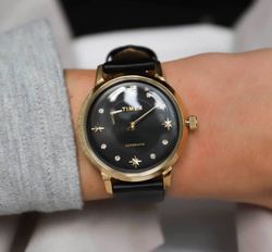 Механические наручные часы Timex TW2T86300VN