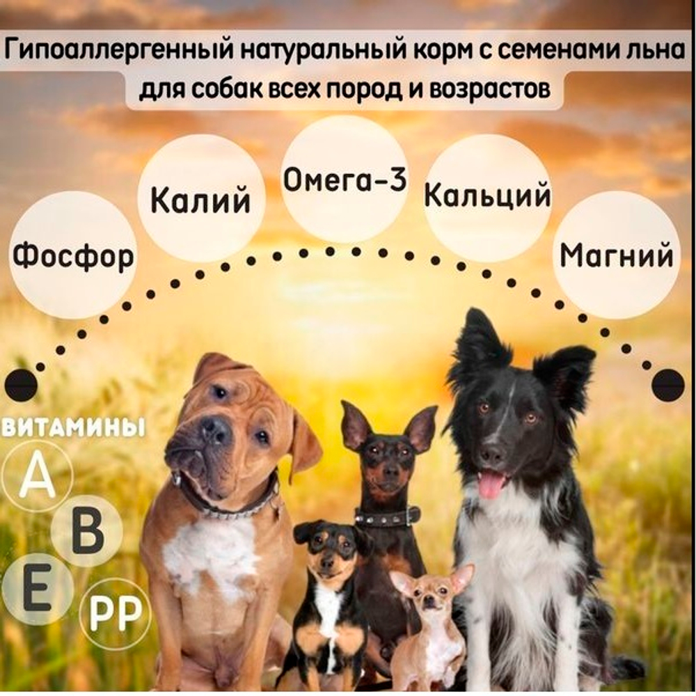 DogmaX Каша для собак "Рацион 3"