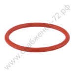 Кольцо уплотнительное IPT 100 NKS0002