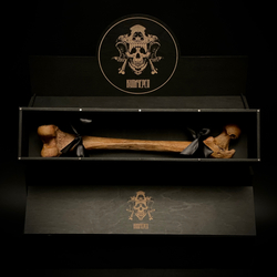 Бедренная кость (анатомическая модель) в подарочной коробке