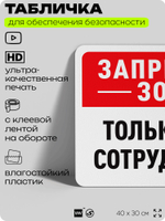 Табличка для обеспечения безопасности "Запретная зона, только для сотрудников", для офиса, по охране труда для предприятия, организаций, 40х30 см, Silver Plane x Айдентика Технолоджи