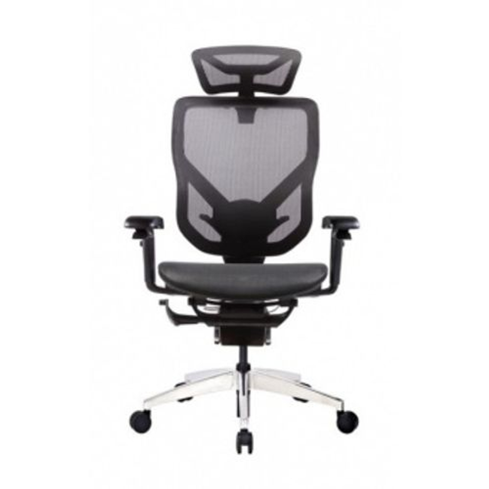 Премиум эргономичное кресло GT Chair VIDA X