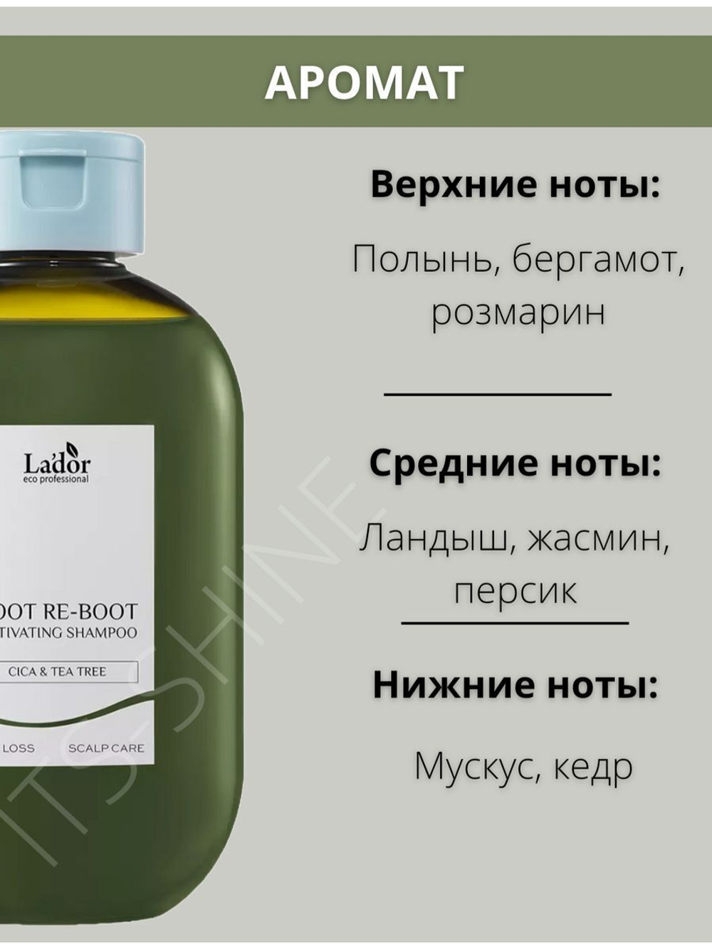 Шампунь для жирных волос Центелла 300 мл