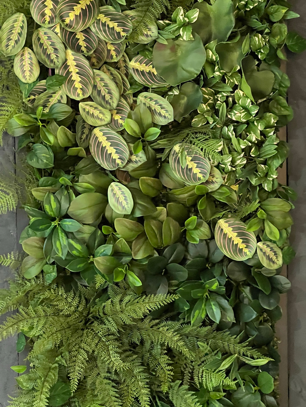 Панно из искусственных растений для офиса компании «Ava Group»