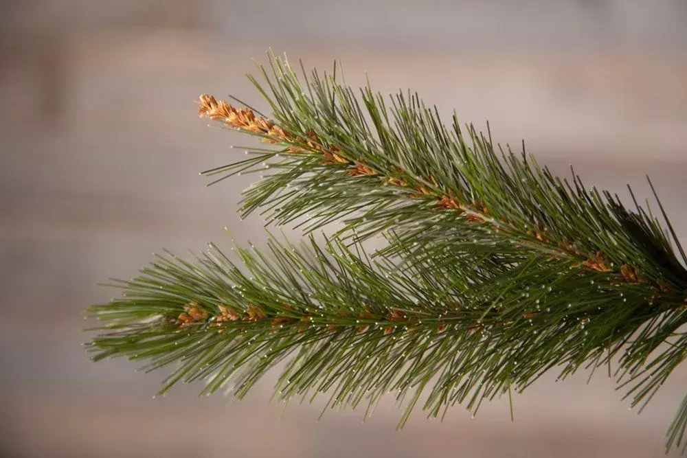 Елка Сказочная 185 см., леска+пвх, Triumph Tree (73535)