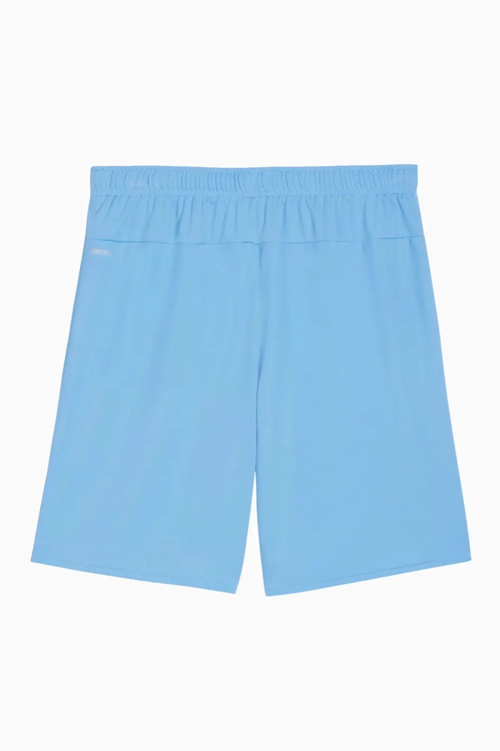 Шорты Puma teamGOAL - голубой