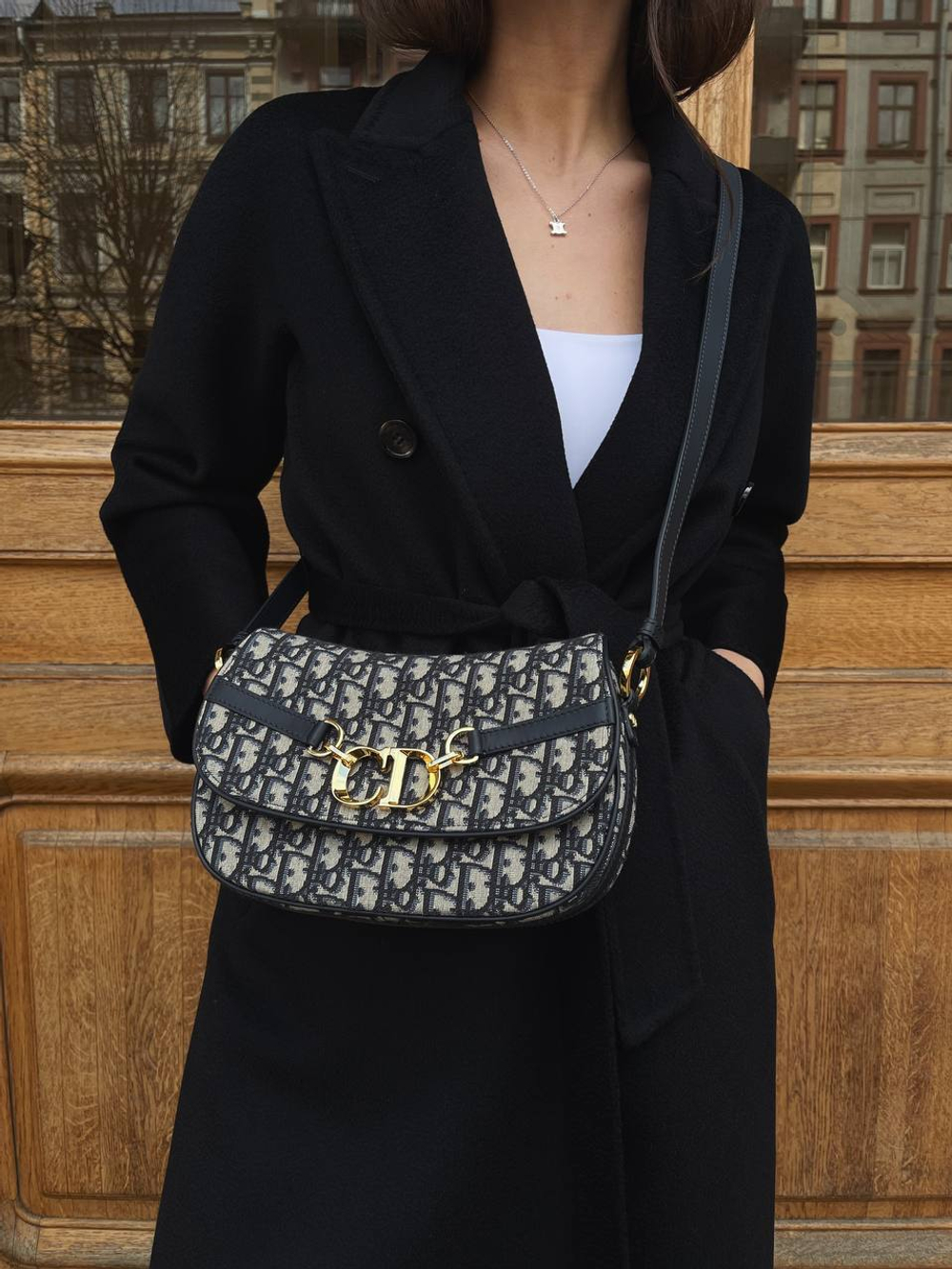Dior CD Besace