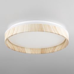 Citilux ENZO CL753352G LED RGB Светильник с пультом Клён