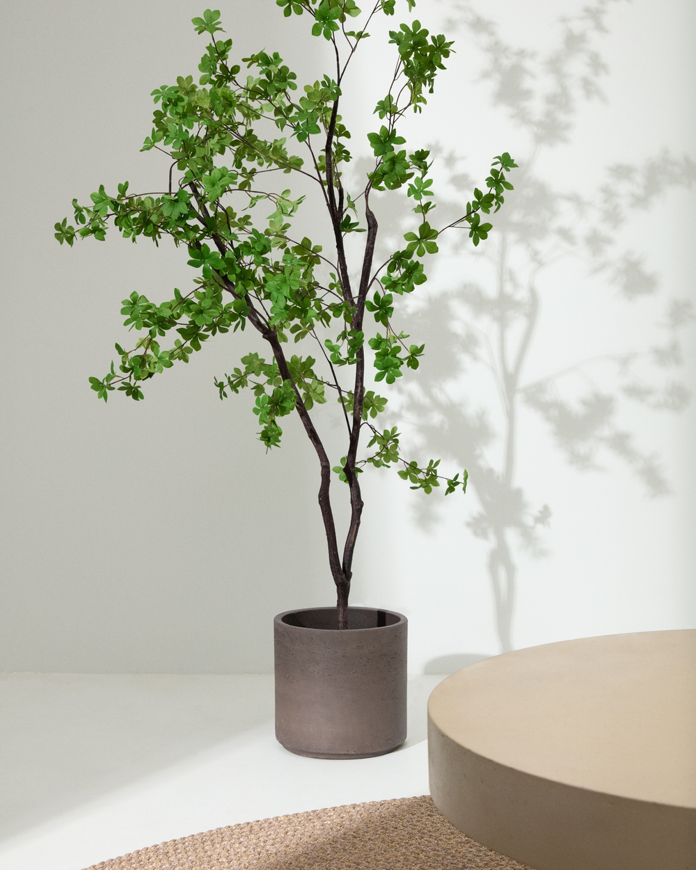 Enkianthus Искусственное дерево с черным горшком 214 см