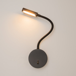 Настенный светильник (бра) Maytoni C035WL-L3B3K