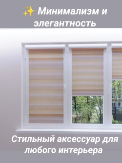Рулонные шторы День-Ночь Зебра 58х130 см