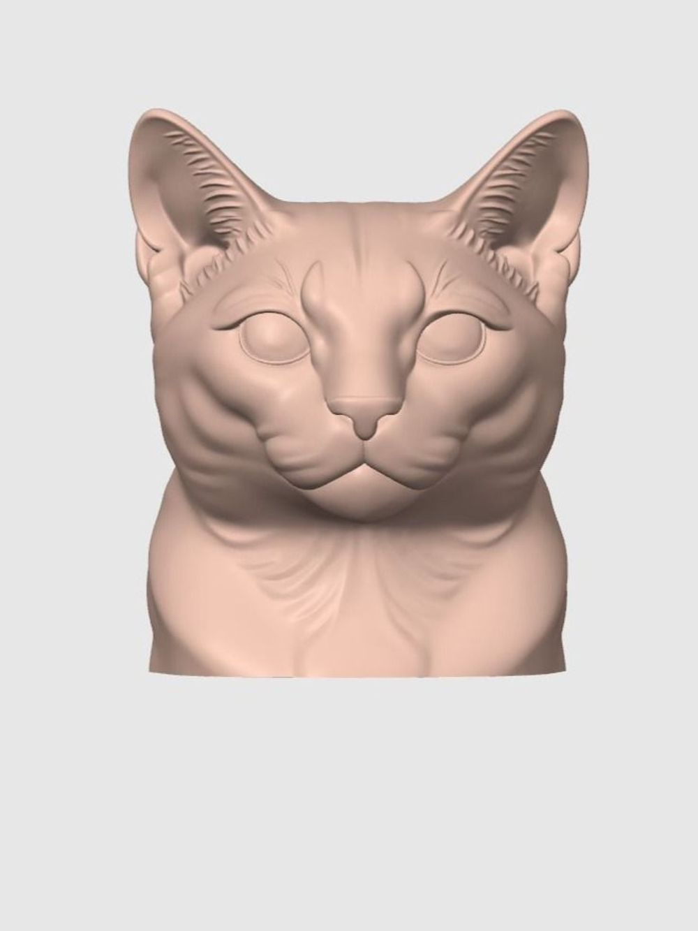 Русская голубая кошка