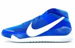 Кроссовки Nike Kd 13 13 Tb Promo