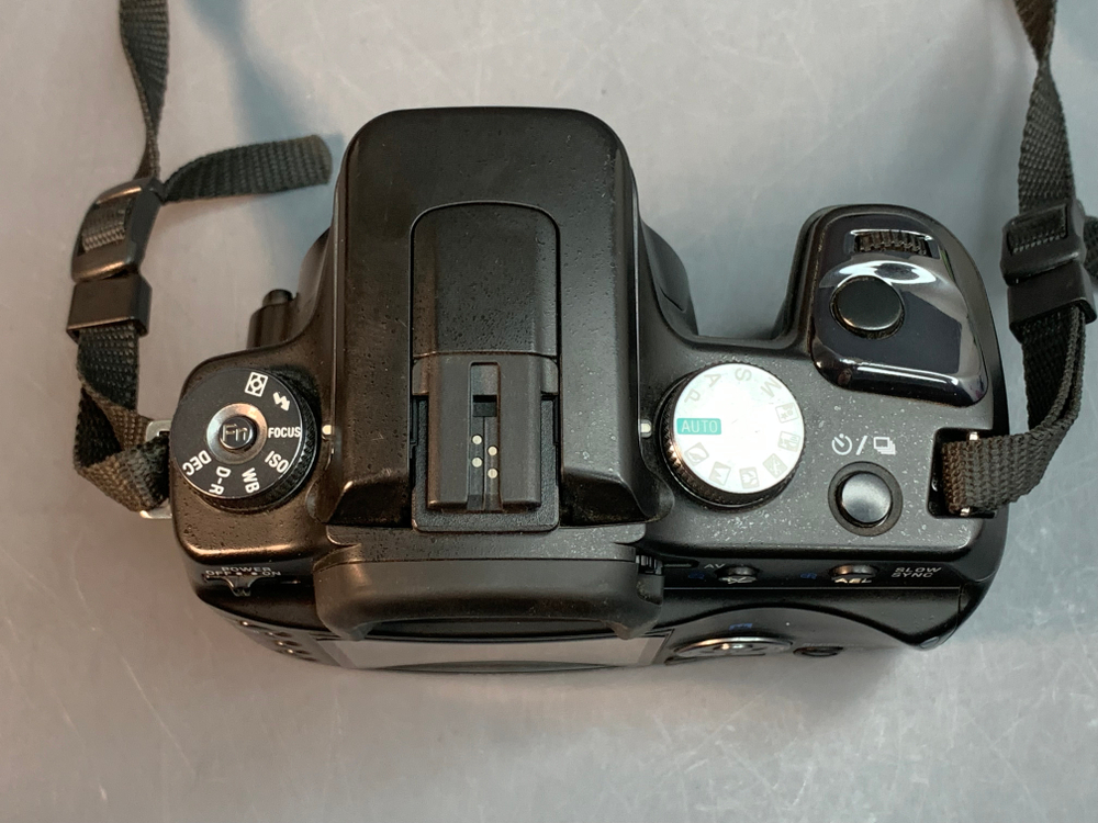 Sony A100