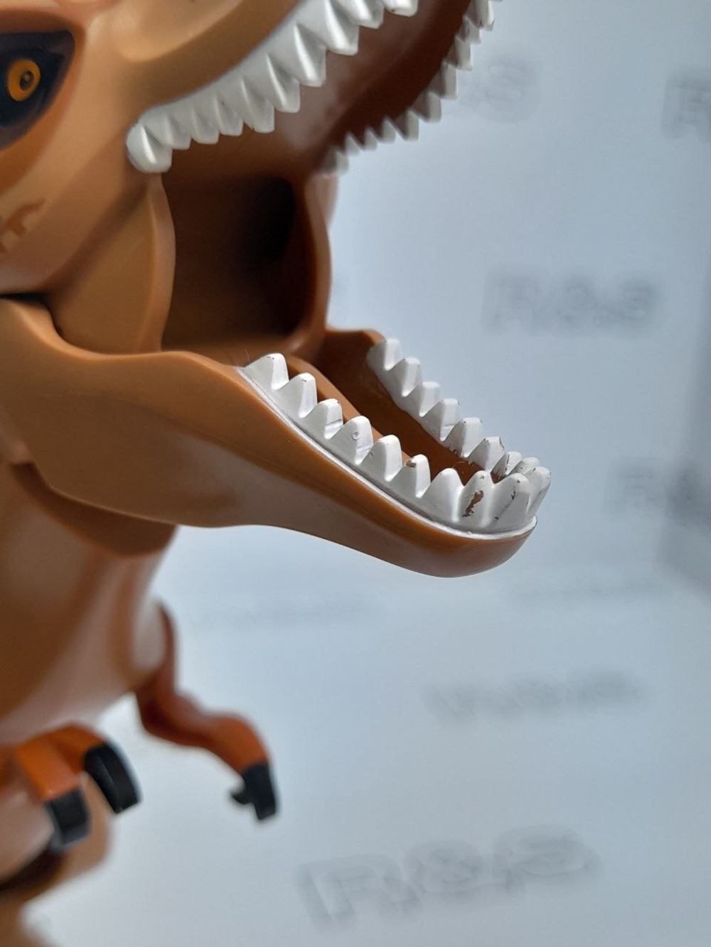 USED Тираннозавр trex02