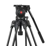 GreenBean VideoMaster 309MS