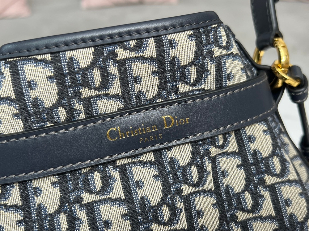 Christian Dior Medium C'est Dior Bag
