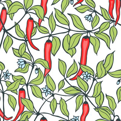 hot chilli pepper seamless pattern.