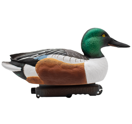 Широконос "FA-212530 LIVE NORTHERN SHOVELER SPOONBILL" FA 6 шт.