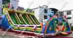 Коммерческий надувной батут "Дракончики"14*10*7,5 м