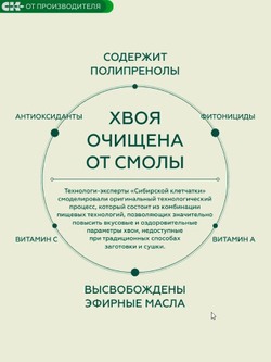 Скриншот 18.12.24_19.34.43