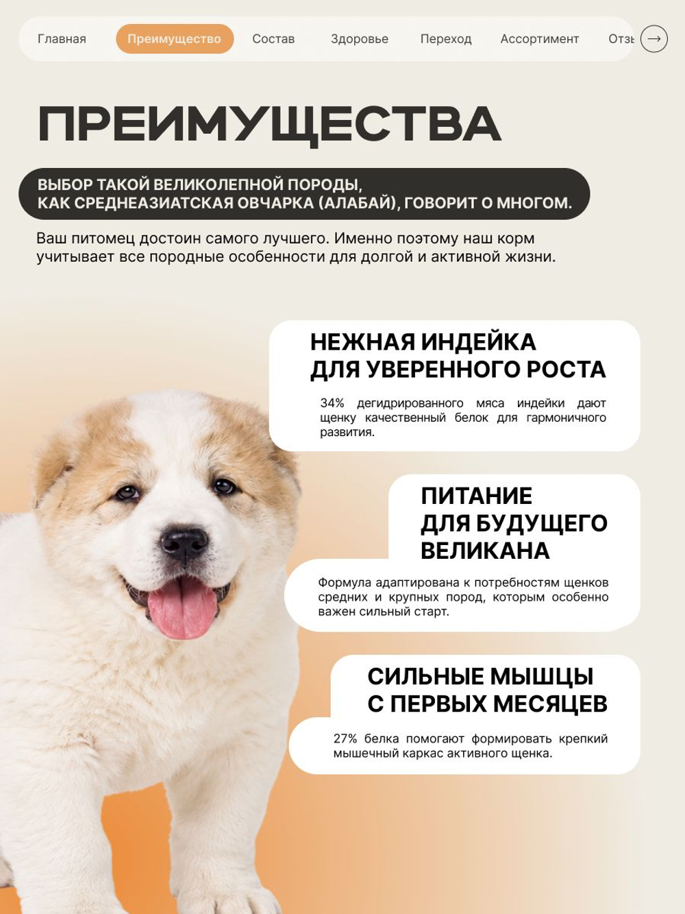 Корм сухой для щенков породы Среднеазиатская овчарка (Алабай), с индейкой, 3 кг, QUATTRO