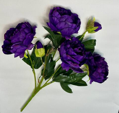 Пионы букет