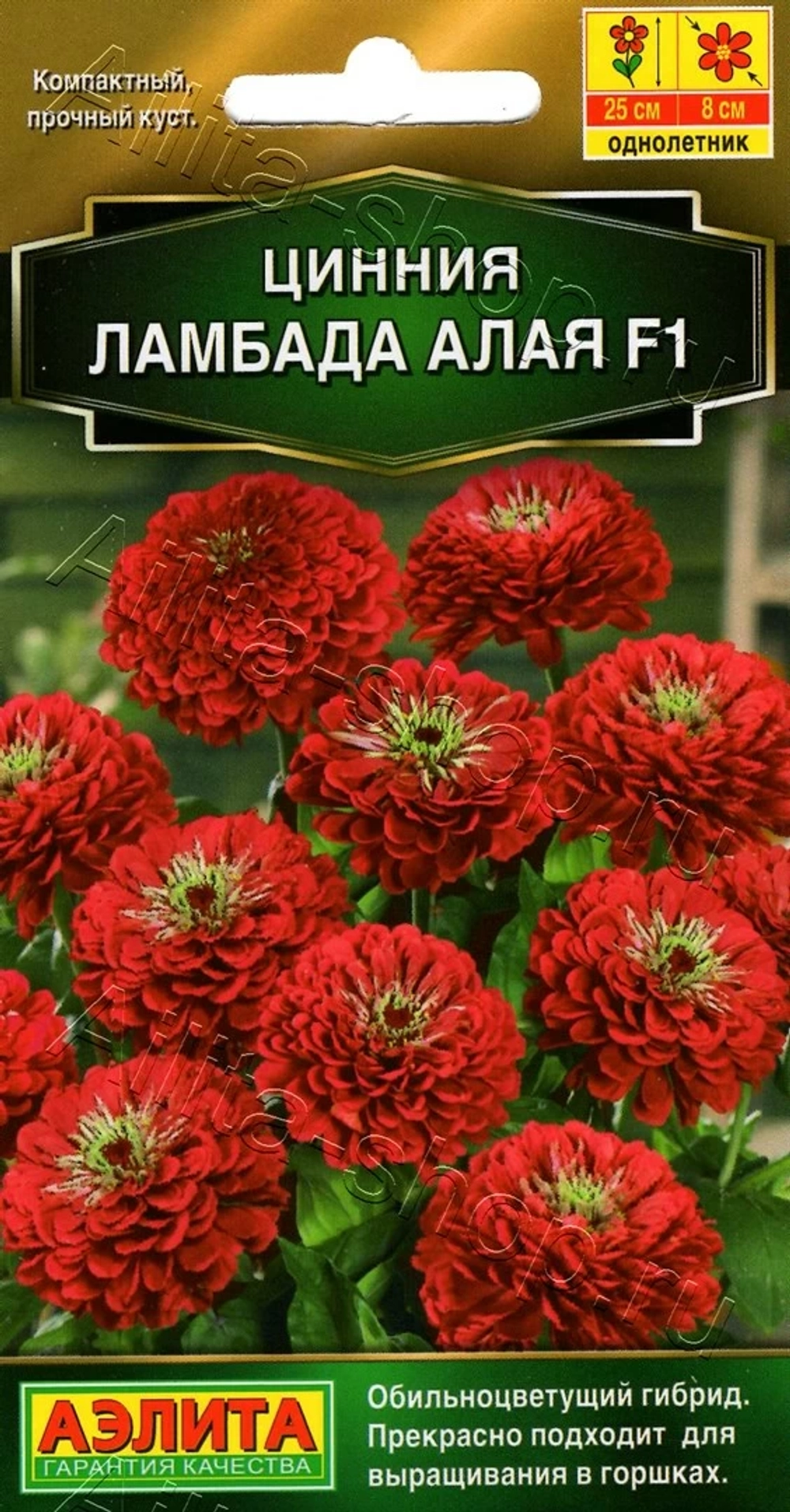 Цинния Ламбада F1 алая 12шт (Аэлита)