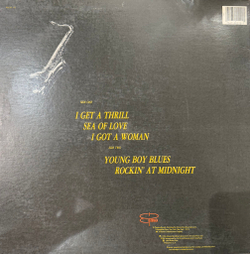 Виниловая пластинка The Honeydrippers - Volume One EP