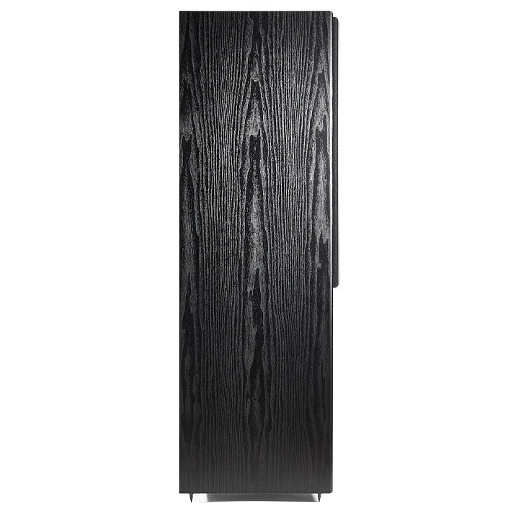 Radiotehnika Alfa 1.02 MKII Black Ash полочная профессиональная акустическая система (пара)