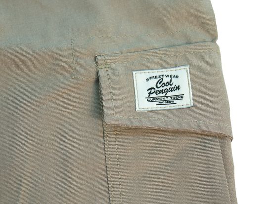 Брюки COOL PENGUIN Chino Light SS17 с карм. (BEIGE)