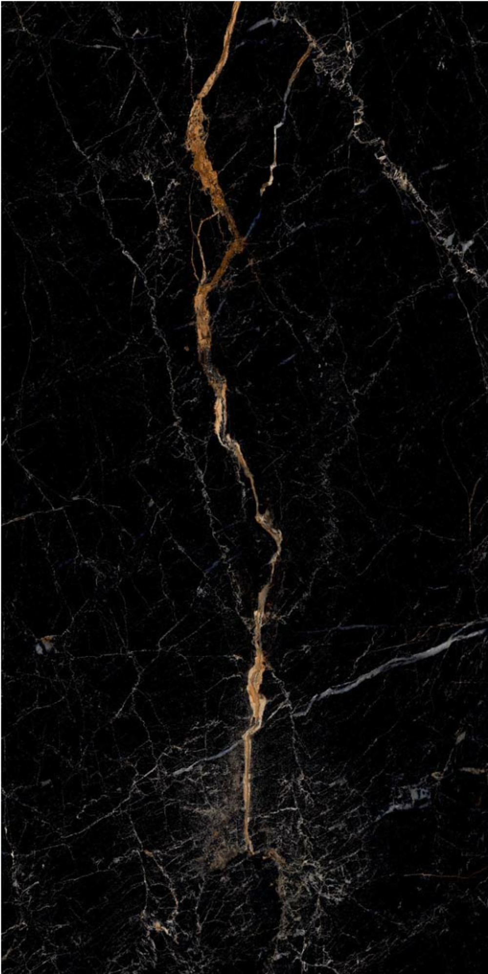 Kevis Vitara Gold Polished 60x120