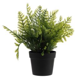 GAEM Цветочная композиция, L23 W23 H25 см