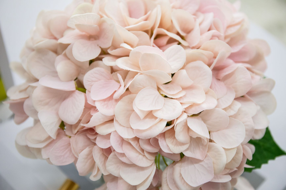 Букет ароматический Cote Noire Hydrangeas Blush & Clear