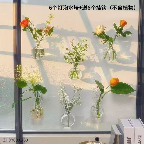 Стеклянная гидропонная ваза (6 шт.)