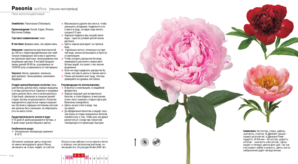 Цветы и зелень в срезке от A до Z. Комплект из 3-х книг