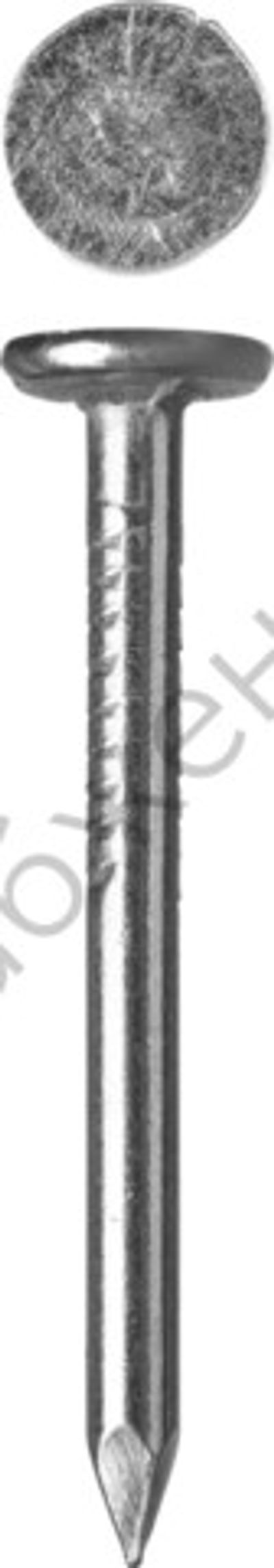 ЗУБР 40 х 3.0 мм, гвозди с большой потайной головкой, цинк, 5 кг (305090-30-040)